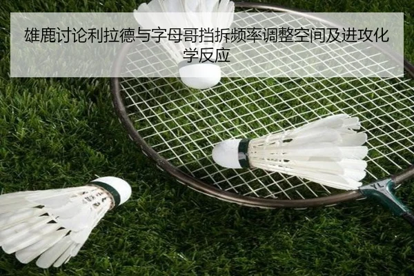 雄鹿讨论利拉德与字母哥挡拆频率调整空间及进攻化学反应