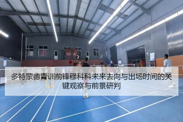 多特蒙德青训前锋穆科科未来去向与出场时间的关键观察与前景研判